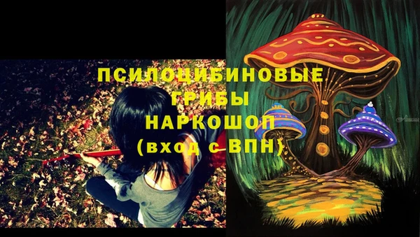 стаф Протвино