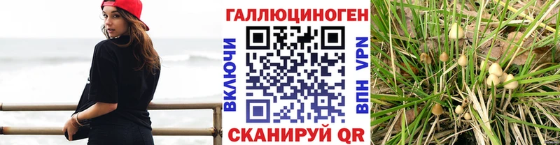 hydra ССЫЛКА  Лесной  Псилоцибиновые грибы Psilocybe  купить наркоту 