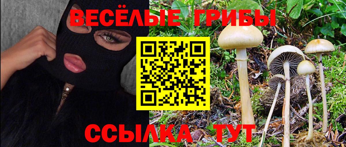 Лесной  Галлюциногенные грибы GOLDEN TEACHER  Псилоцибиновые грибы Psilocybe  Вход с VPN 